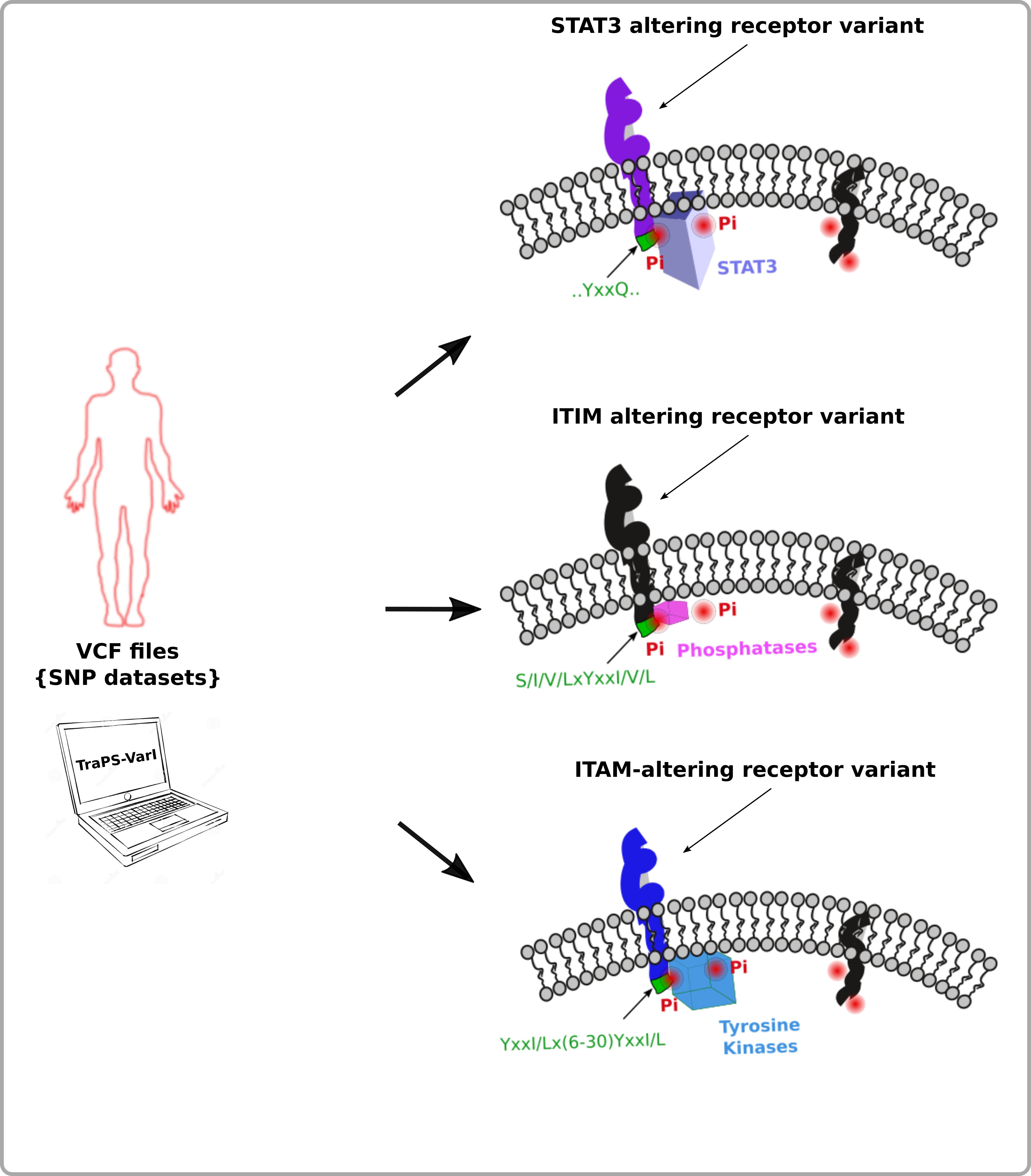 _images/example-skt.png