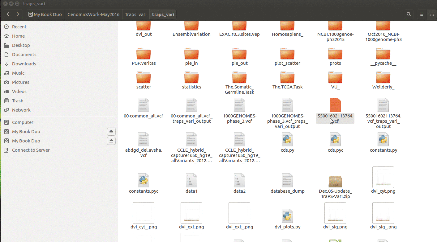 _images/output.gif